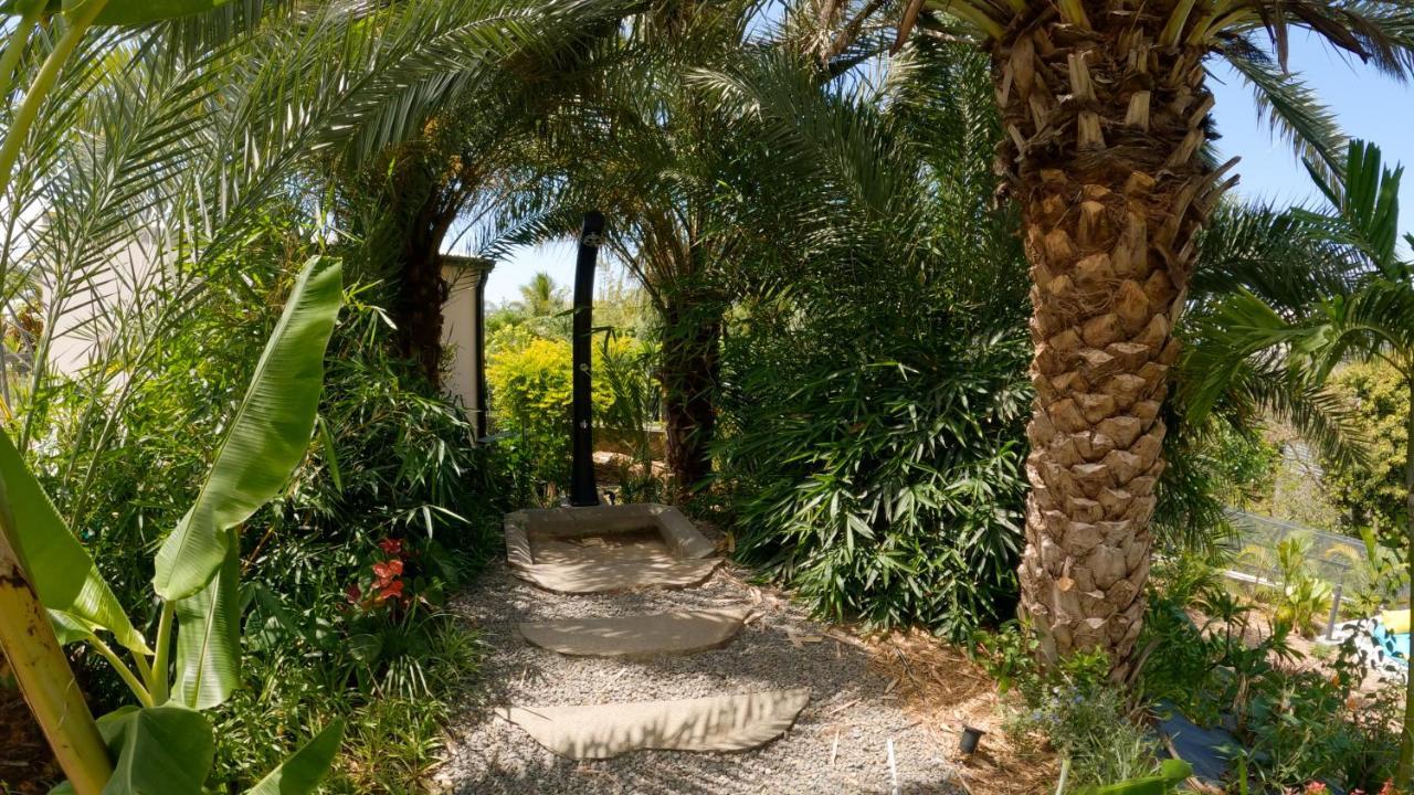O Ruisseau Lodges - Lodge Dattier سانت لويس المظهر الخارجي الصورة